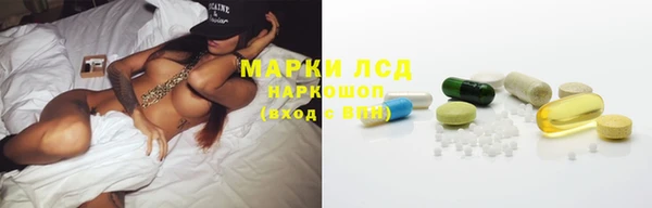 твердый Арсеньев