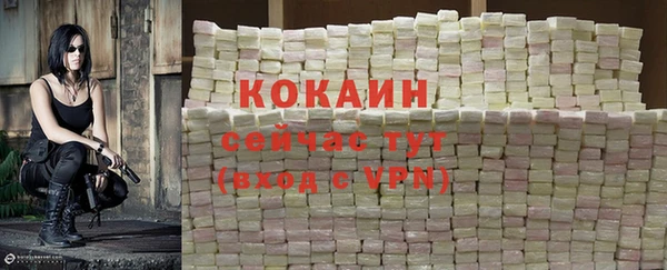 твердый Арсеньев