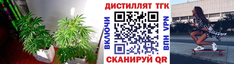 KRAKEN ссылки  Арсеньев  Дистиллят ТГК гашишное масло 